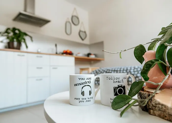 Apartamenty 66 C